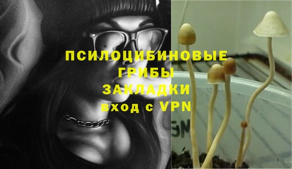 экстази Вяземский