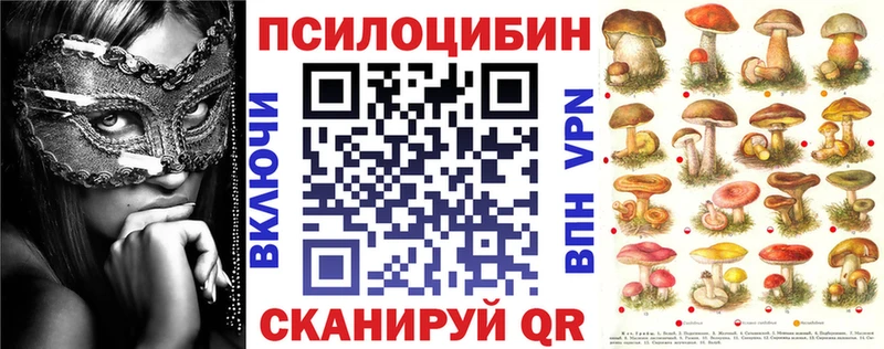 сколько стоит  KRAKEN ссылки  Псилоцибиновые грибы мицелий  Мценск 